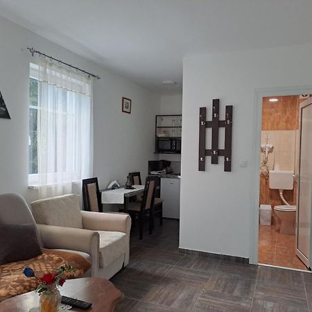 Vila Mozart - Apartments & Studios Kopaonik Exterior photo